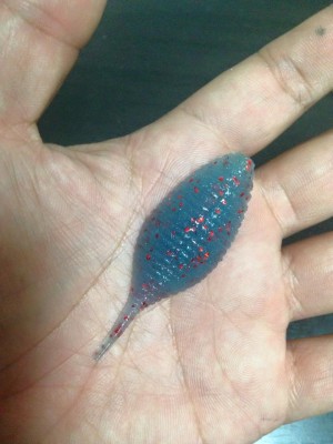 hideup 永野総一朗 ブログ写真 2015/02/07