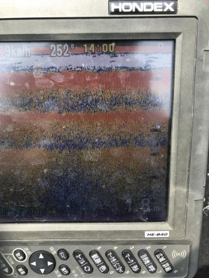 hideup 永野総一朗 ブログ写真 2017/06/28