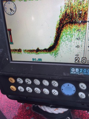 hideup 豌ｸ驥守ｷ丈ｸ譛� 繝悶Ο繧ｰ蜀咏悄 2015/08/07