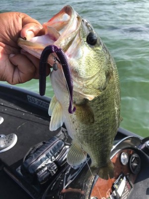 hideup 永野総一朗 ブログ写真 2017/08/09