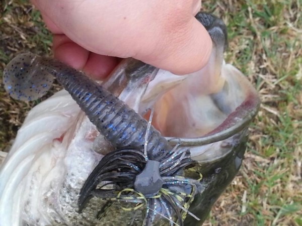 hideup 永野総一朗 ブログ写真 2014/05/02