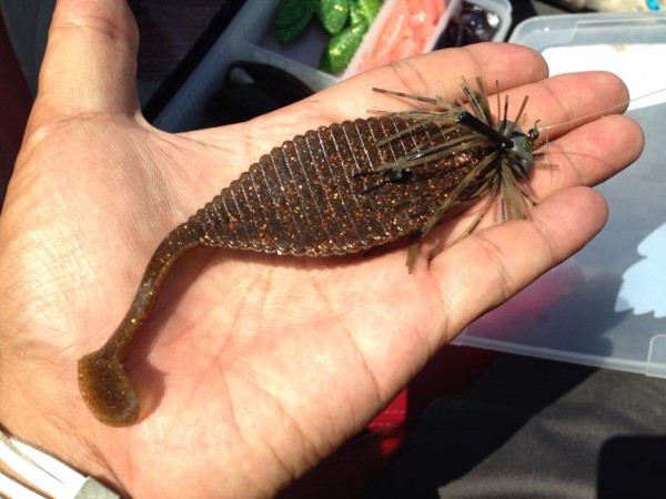 hideup 永野総一朗 ブログ写真 2014/07/06