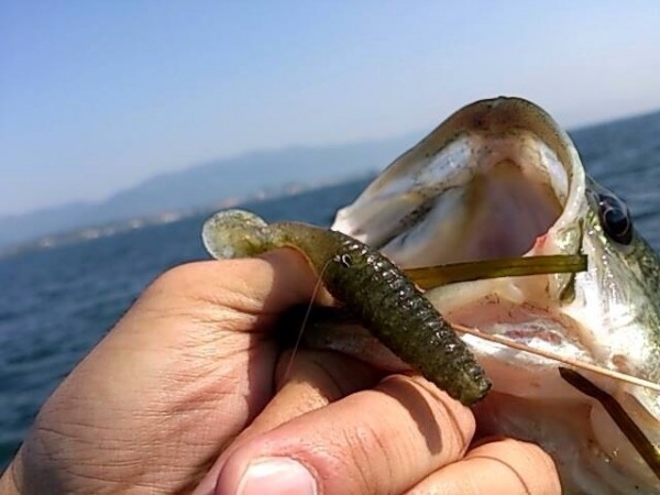 hideup 永野総一朗 ブログ写真 2014/05/16