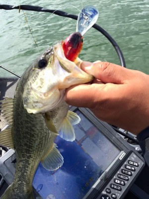 hideup 永野総一朗 ブログ写真 2016/04/08