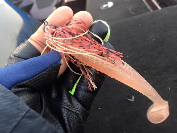 hideup 豌ｸ驥守ｷ丈ｸ譛� 繝悶Ο繧ｰ蜀咏悄 2016/03/05