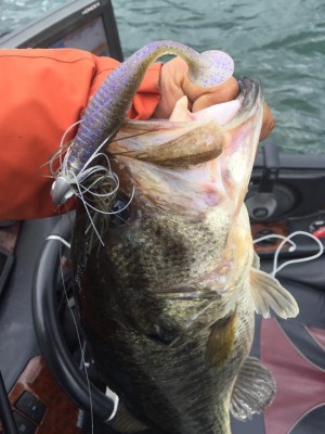 hideup 永野総一朗 ブログ写真 2017/04/12