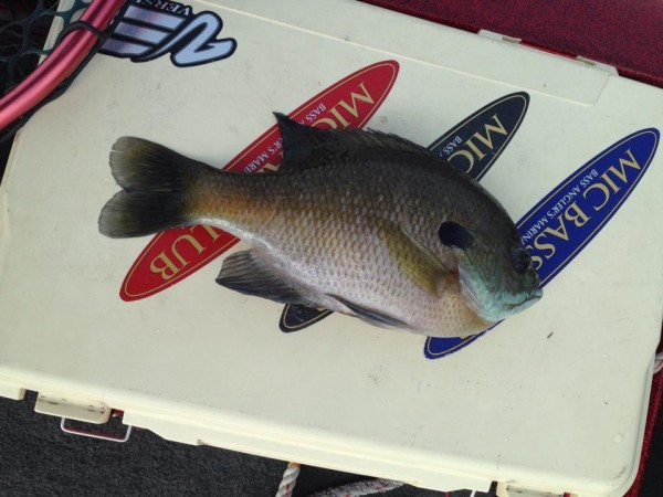 hideup 永野総一朗 ブログ写真 2014/10/28