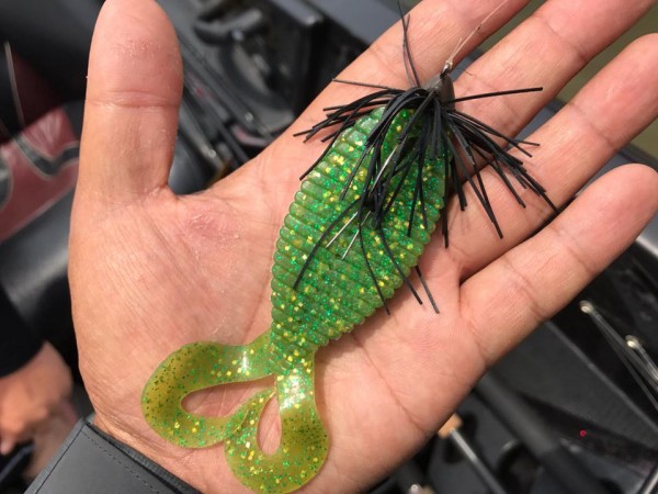 hideup 豌ｸ驥守ｷ丈ｸ譛� 繝悶Ο繧ｰ蜀咏悄 2017/07/07