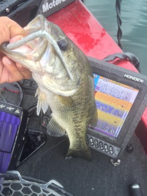 hideup 永野総一朗 ブログ写真 2015/09/03