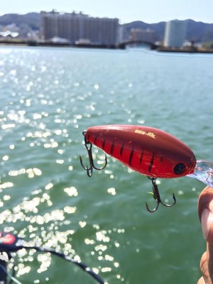 hideup 永野総一朗 ブログ写真 2016/03/22