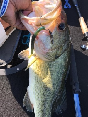 hideup 永野総一朗 ブログ写真 2017/06/20