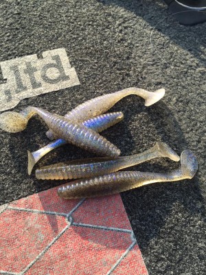 hideup 永野総一朗 ブログ写真 2015/10/23