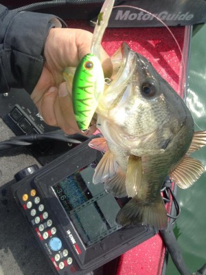 hideup 永野総一朗 ブログ写真 2015/03/20