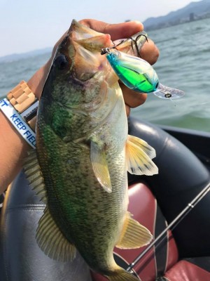 hideup 永野総一朗 ブログ写真 2017/05/30