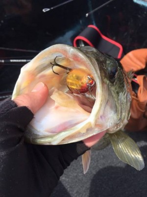 hideup 永野総一朗 ブログ写真 2017/03/19