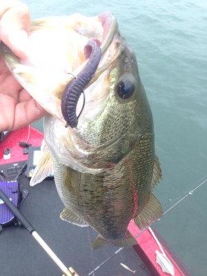 hideup 永野総一朗 ブログ写真 2015/04/05