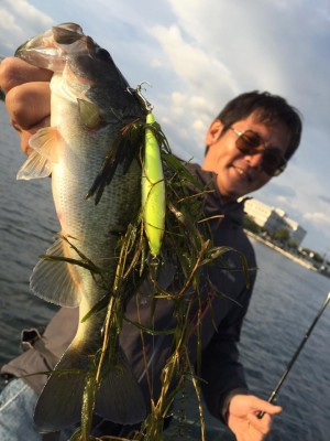 hideup 永野総一朗 ブログ写真 2016/10/12