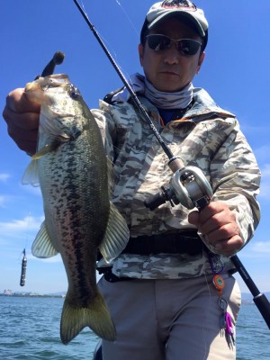 hideup 永野総一朗 ブログ写真 2016/05/18