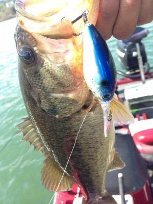 hideup 永野総一朗 ブログ写真 2015/03/24