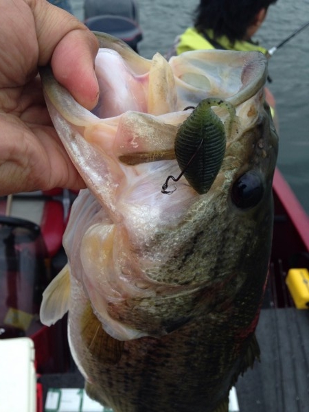 hideup 永野総一朗 ブログ写真 2014/05/15