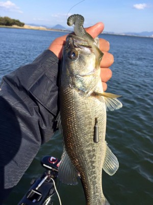 hideup 永野総一朗 ブログ写真 2016/04/11