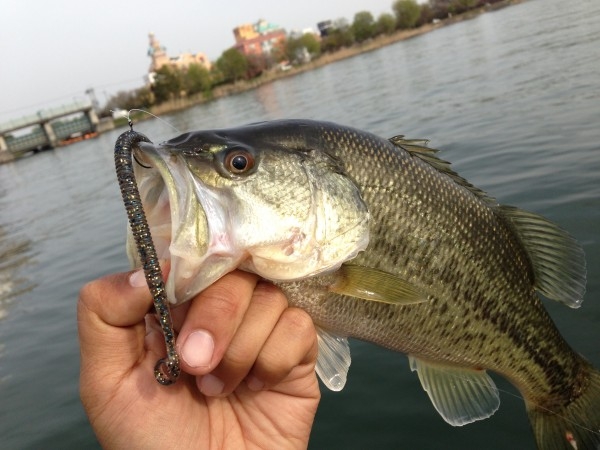 hideup 永野総一朗 ブログ写真 2013/04/17