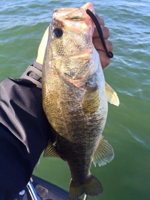 hideup 永野総一朗 ブログ写真 2016/06/05