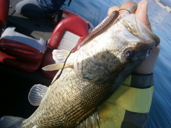 hideup 永野総一朗 ブログ写真 2014/09/14