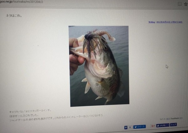 hideup 豌ｸ驥守ｷ丈ｸ譛� 繝悶Ο繧ｰ蜀咏悄 2016/11/04