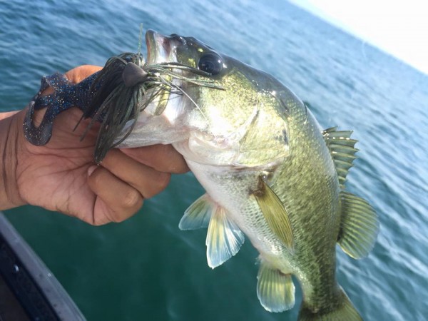 hideup 永野総一朗 ブログ写真 2016/08/04