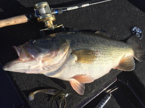 hideup 永野総一朗 ブログ写真 2017/03/17