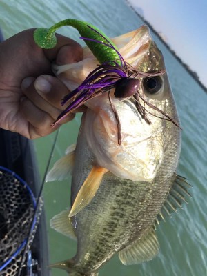 hideup 永野総一朗 ブログ写真 2017/11/03