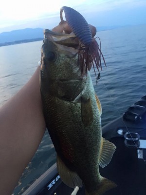 hideup 永野総一朗 ブログ写真 2016/06/18