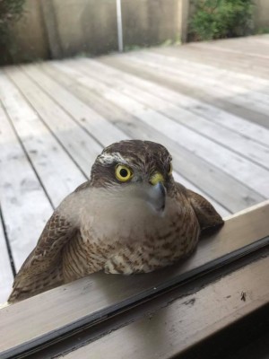 hideup 永野総一朗 ブログ写真 2017/12/01