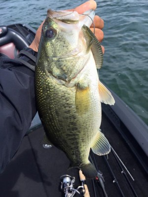 hideup 永野総一朗 ブログ写真 2016/06/05