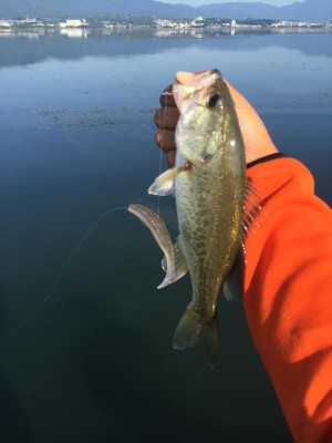 hideup 永野総一朗 ブログ写真 2015/09/15