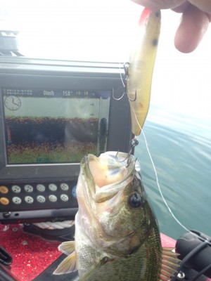 hideup 永野総一朗 ブログ写真 2015/06/17