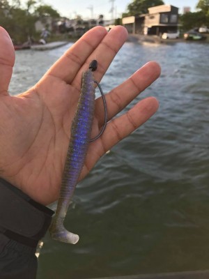 hideup 永野総一朗 ブログ写真 2017/06/13