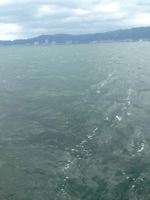 hideup 永野総一朗 ブログ写真 2015/06/19