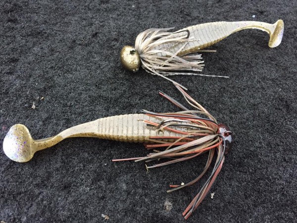 hideup 永野総一朗 ブログ写真 2016/11/21