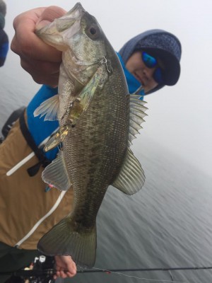 hideup 永野総一朗 ブログ写真 2016/12/21