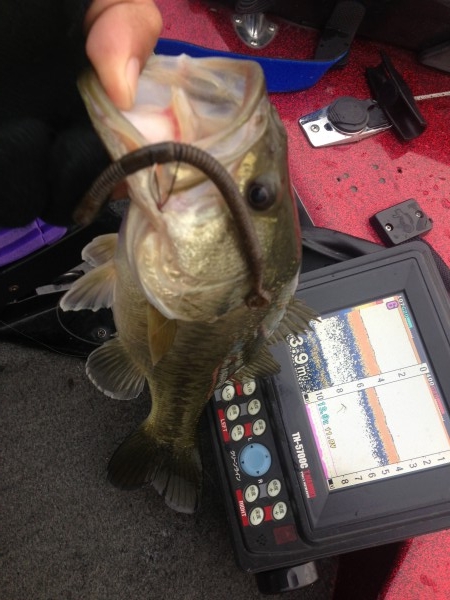 hideup 永野総一朗 ブログ写真 2013/11/27