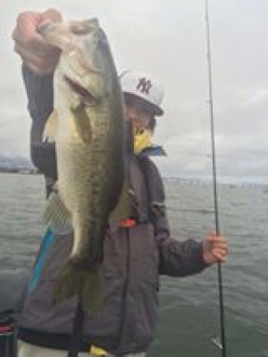 hideup 豌ｸ驥守ｷ丈ｸ譛� 繝悶Ο繧ｰ蜀咏悄 2014/11/02