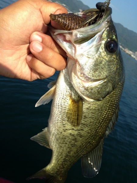 hideup 永野総一朗 ブログ写真 2014/07/03