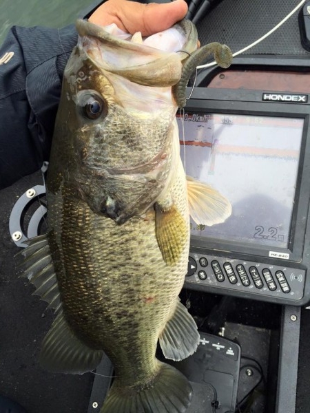 hideup 永野総一朗 ブログ写真 2016/04/14