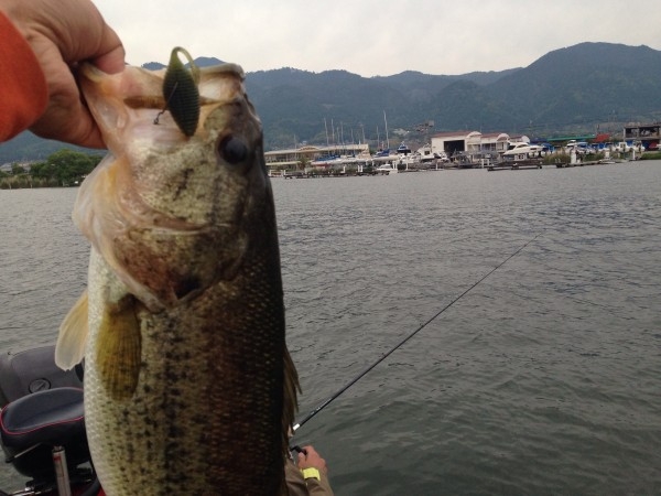 hideup 永野総一朗 ブログ写真 2014/05/15