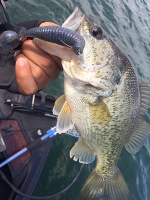 hideup 永野総一朗 ブログ写真 2017/04/19