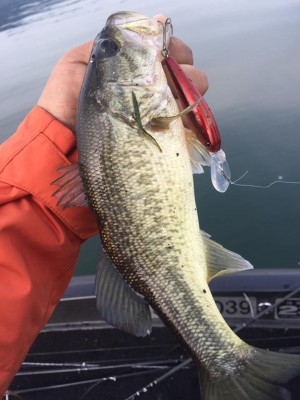 hideup 永野総一朗 ブログ写真 2016/12/26