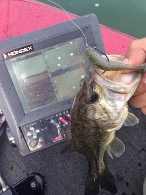 hideup 永野総一朗 ブログ写真 2015/04/12