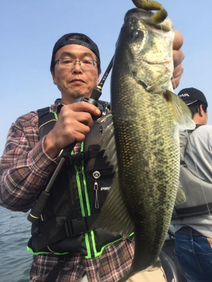 hideup 豌ｸ驥守ｷ丈ｸ譛� 繝悶Ο繧ｰ蜀咏悄 2017/05/11